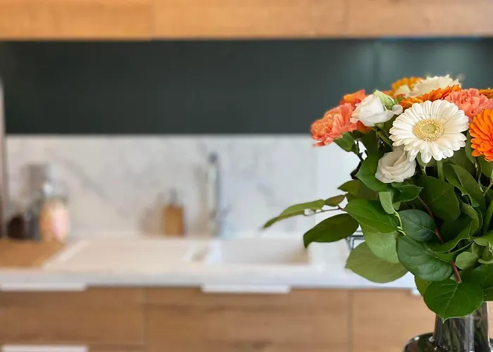 Vakantiehuis 25 Min Roermond Maasmechelen Maastricht